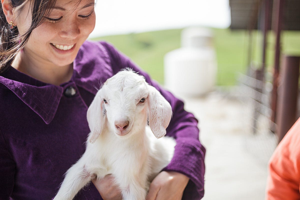 4 Awesome San Francisco Food Bloggers