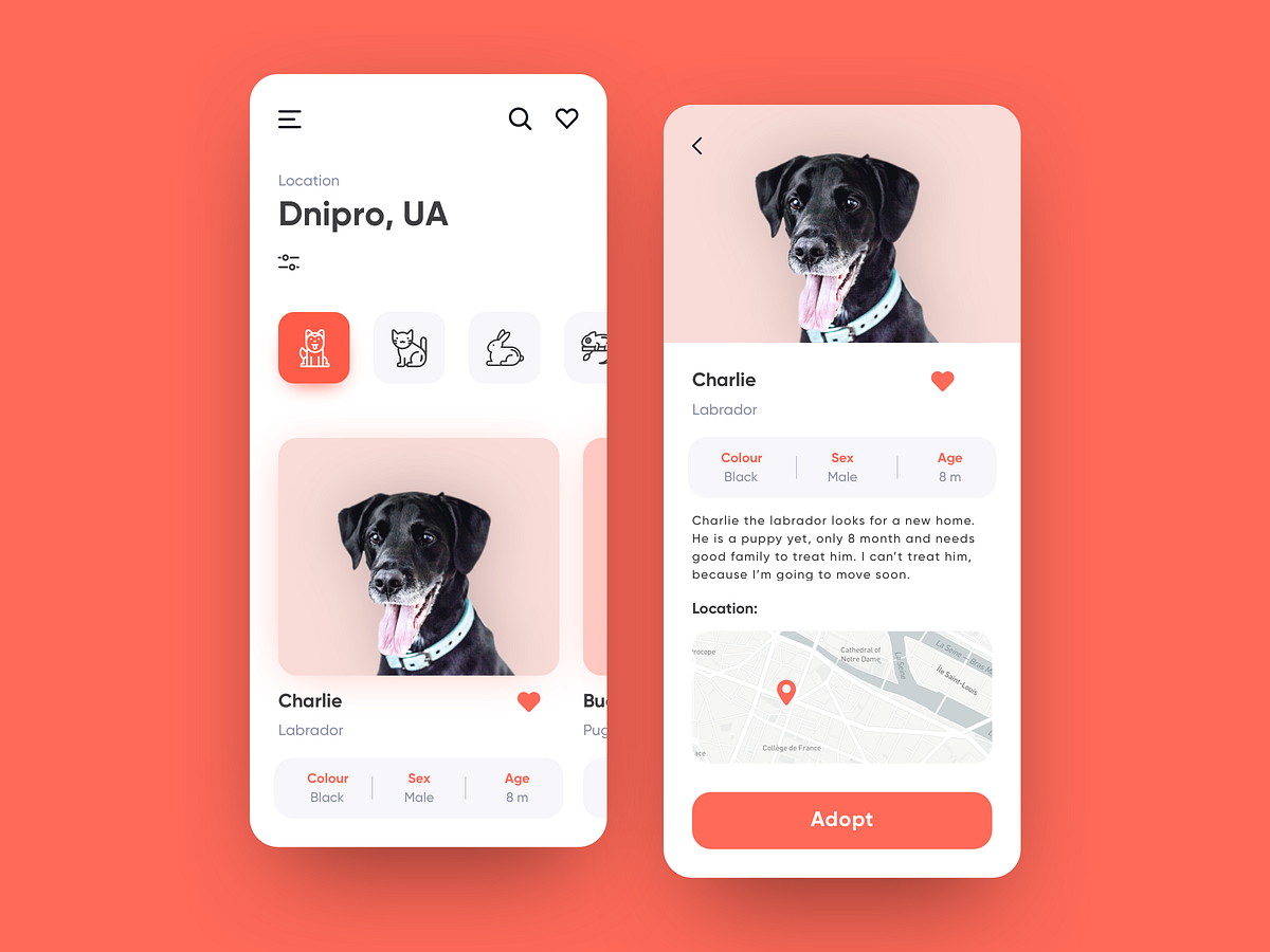 Mendesain UX untuk hewan?. UX Design untuk hewan peliharaan… | by Nur ...