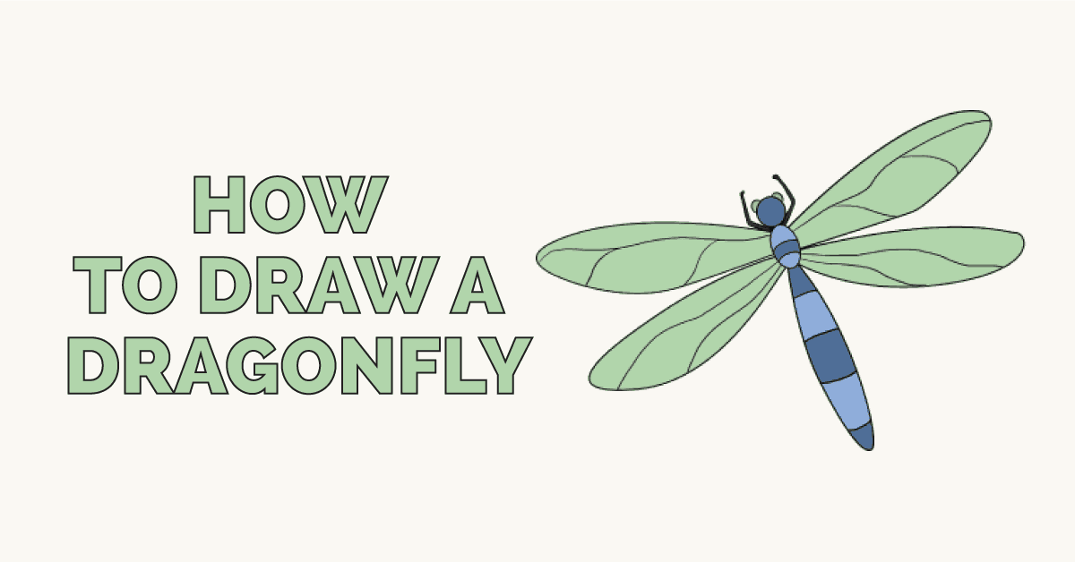 How to Draw a Dragonfly — Really Easy Drawing Tutorial by Easy Drawing Guides Medium