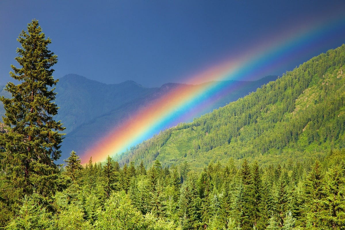 Explanation Text About Rainbow. What is Rainbow? by eufratayyash Medium