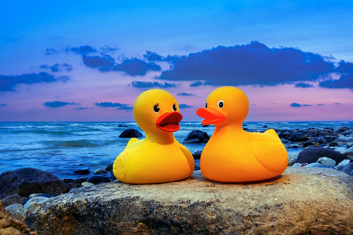 rubber-ducks-by-dr-christine-chuckle-oct-2023-medium