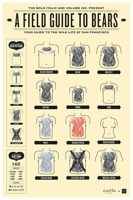 Image of: “A Field Guide To Bears” Poster Available Now