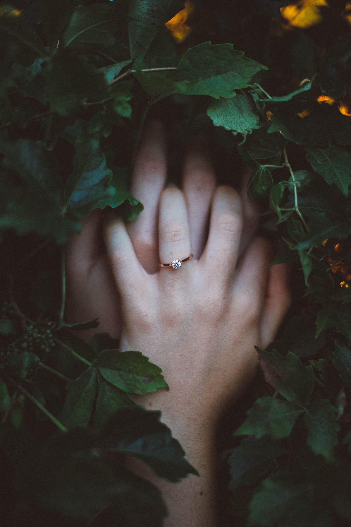 Rediscovering Romance: The Timeless Magic of Love in Novels