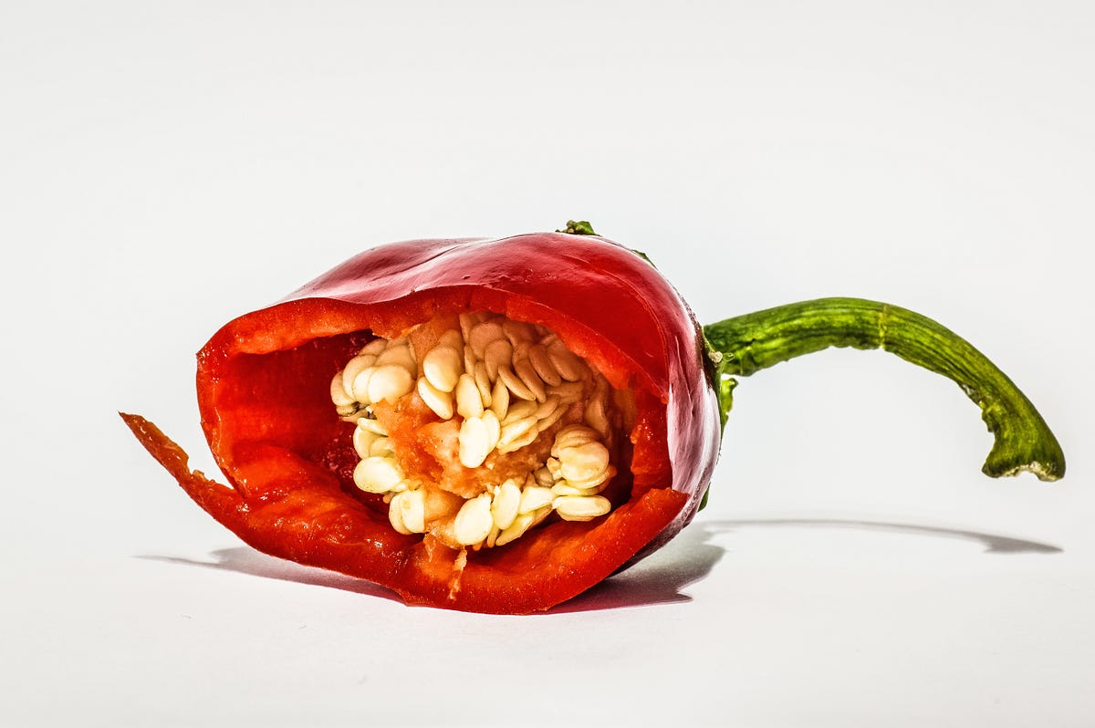 Why Did Hot Peppers Evolve?