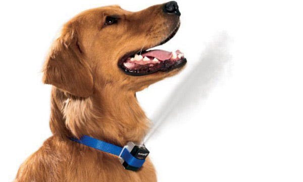 Barkrite remote best sale citronella collar