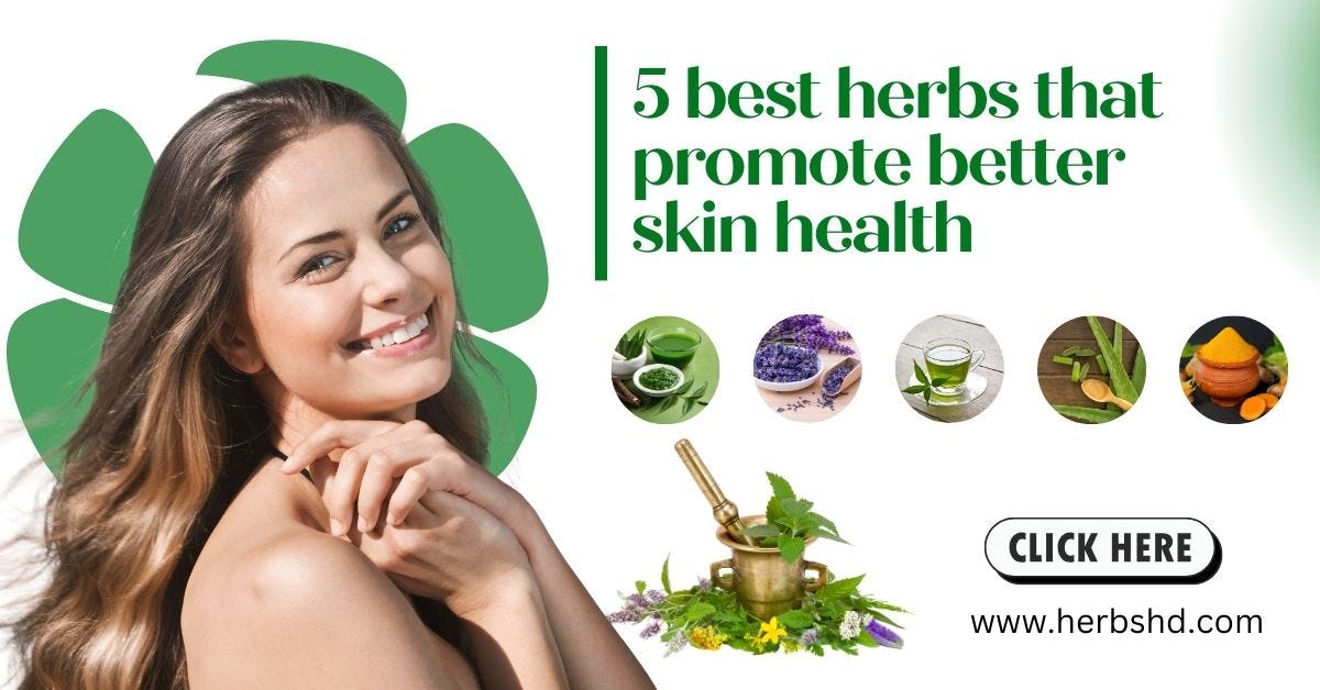 5 best herbs that promote better skin health by Feb, 2024 Medium