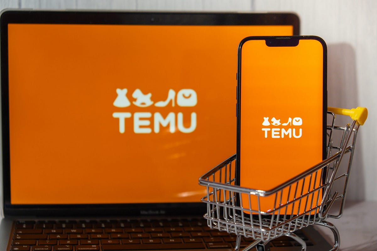 How To Make Money With Temu (Earn up to 100,000) by Make Money Blog Medium
