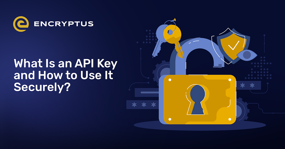 What Is an API Key and How to Use It Securely? | by Encryptus | Nov ...