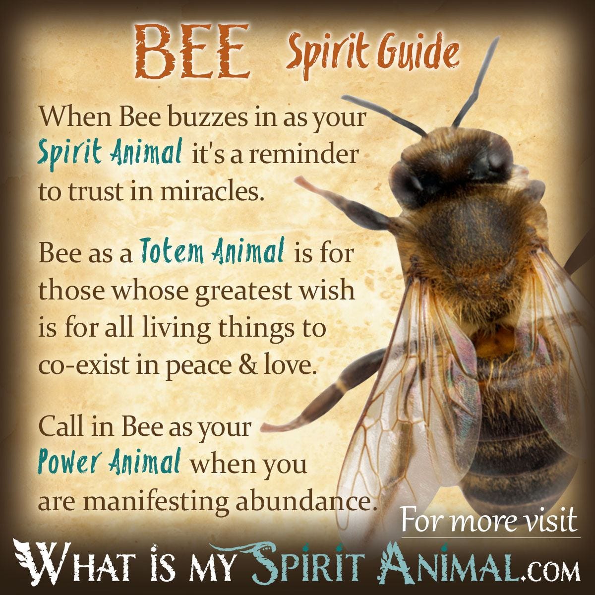 Spiritual Meaning of Bees Flying around You Divine Messages Unveiled