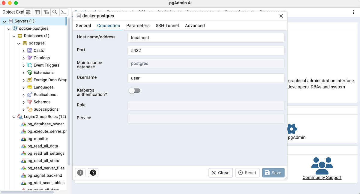 Setting up PostgreSQL database in a Docker Container | by Anji Keesari ...