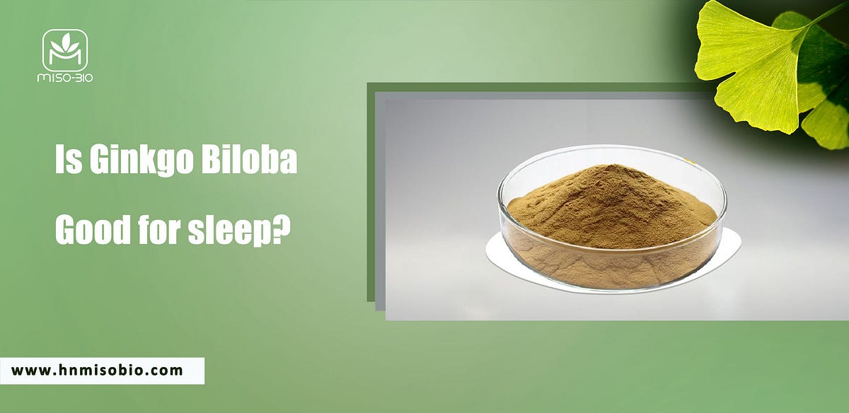 Is Ginkgo Biloba Good for Sleep?. by Hunan Miso Biosciences Medium