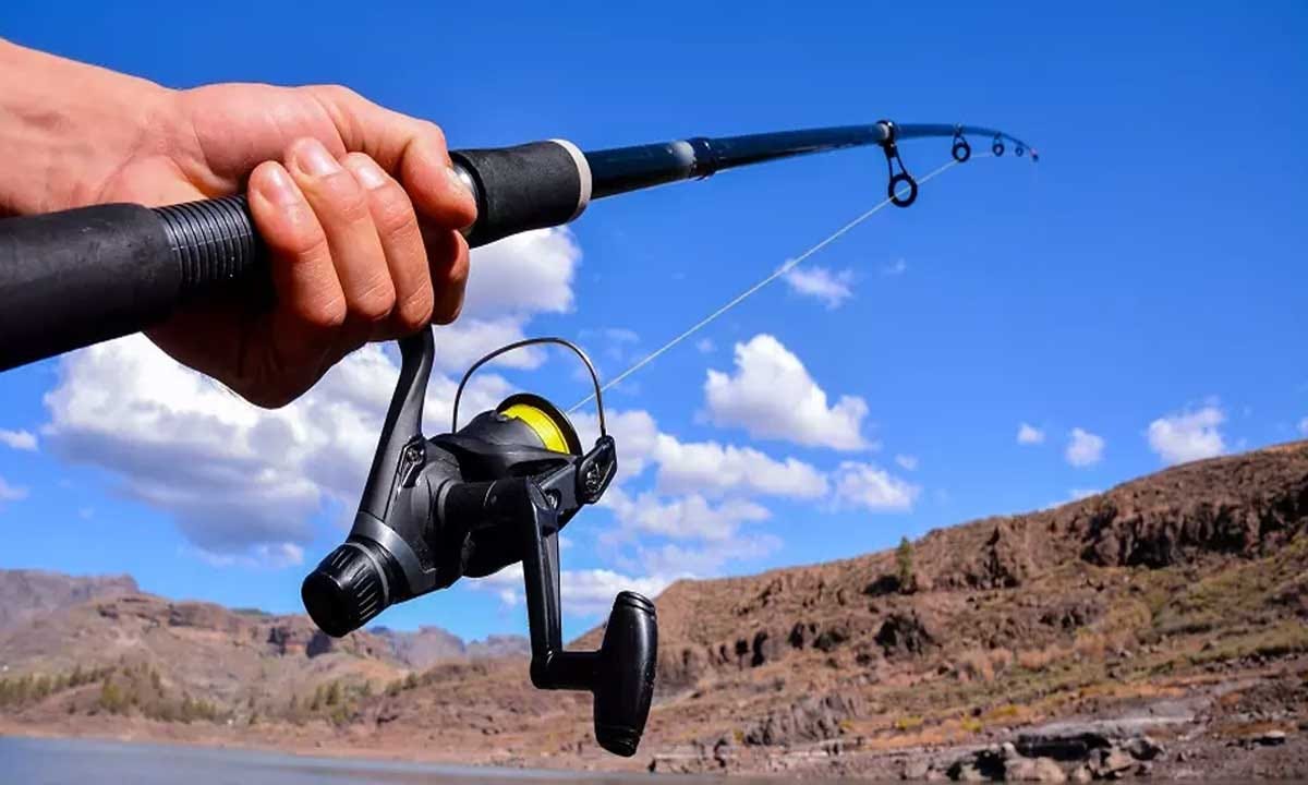 The 10 Best Spinning Fishing Rods in 2024 for the UK