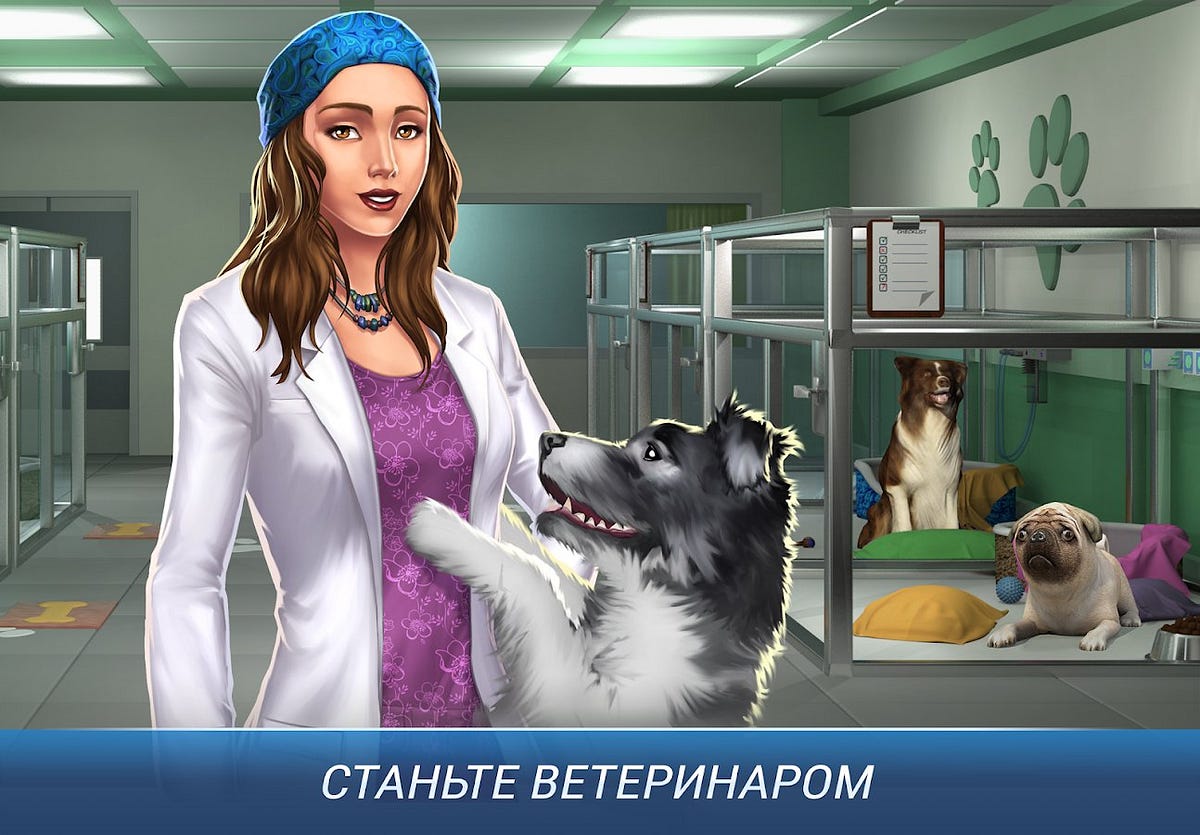 Operate Now Animal Hospital. Work Now Animal Hospital’s Features