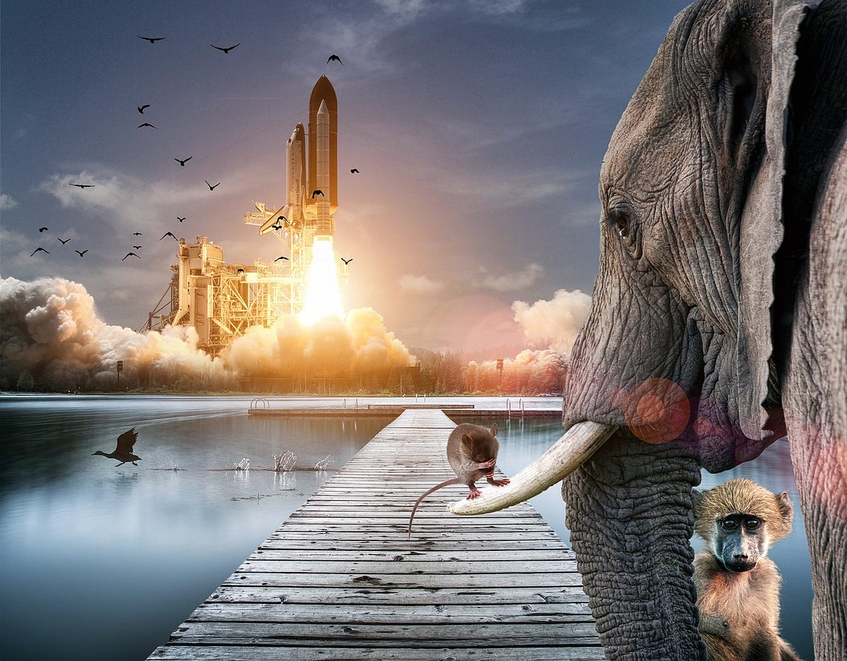 The Art of Storytelling: How to Craft Compelling Narratives | by