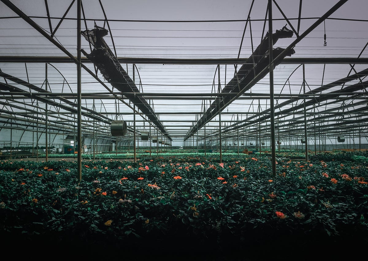 Greenhouse Application for Air Filtration Systems by Air Cleaning