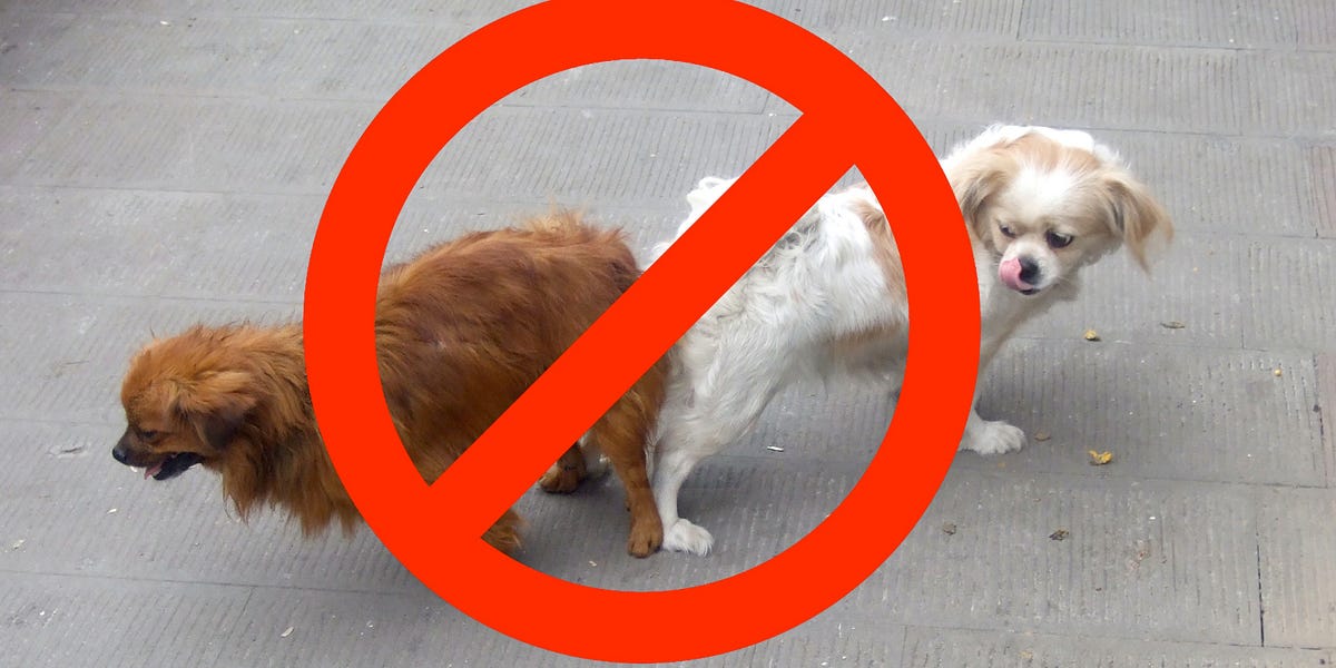 10 Weird LA Laws Still On the Books — The Bold Italic — San Francisco