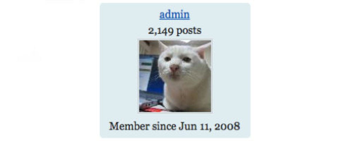The Admin’s Unprofessional Avatar. Image is screenshot from InfoBarrel.