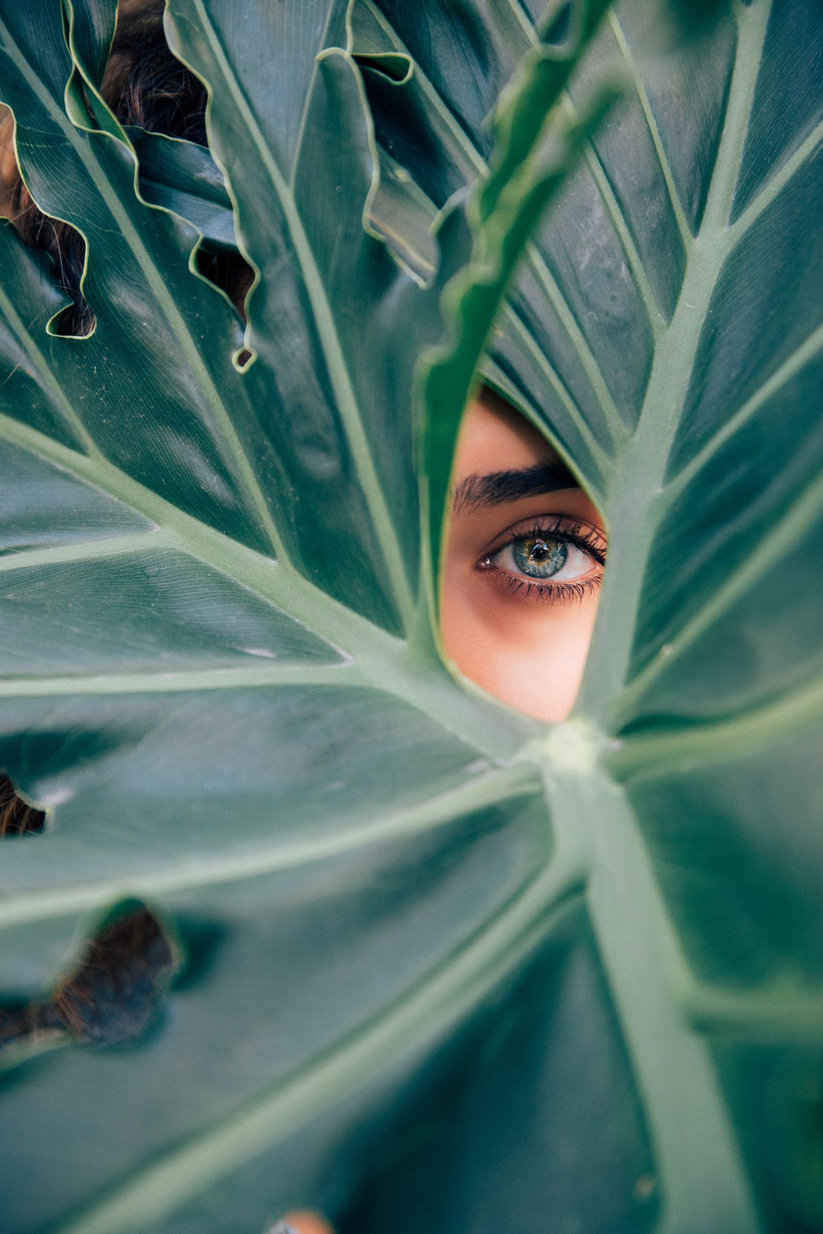 Greened: A Seedling Tale