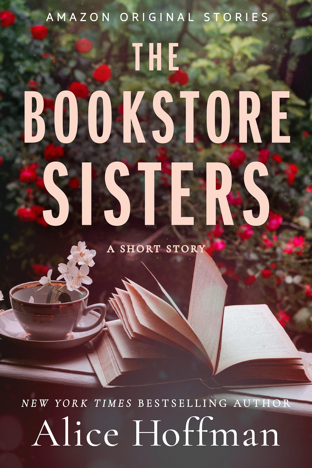 (PDF Download) The Bookstore Sisters — Alice Hoffman - Katherine Wilson ...