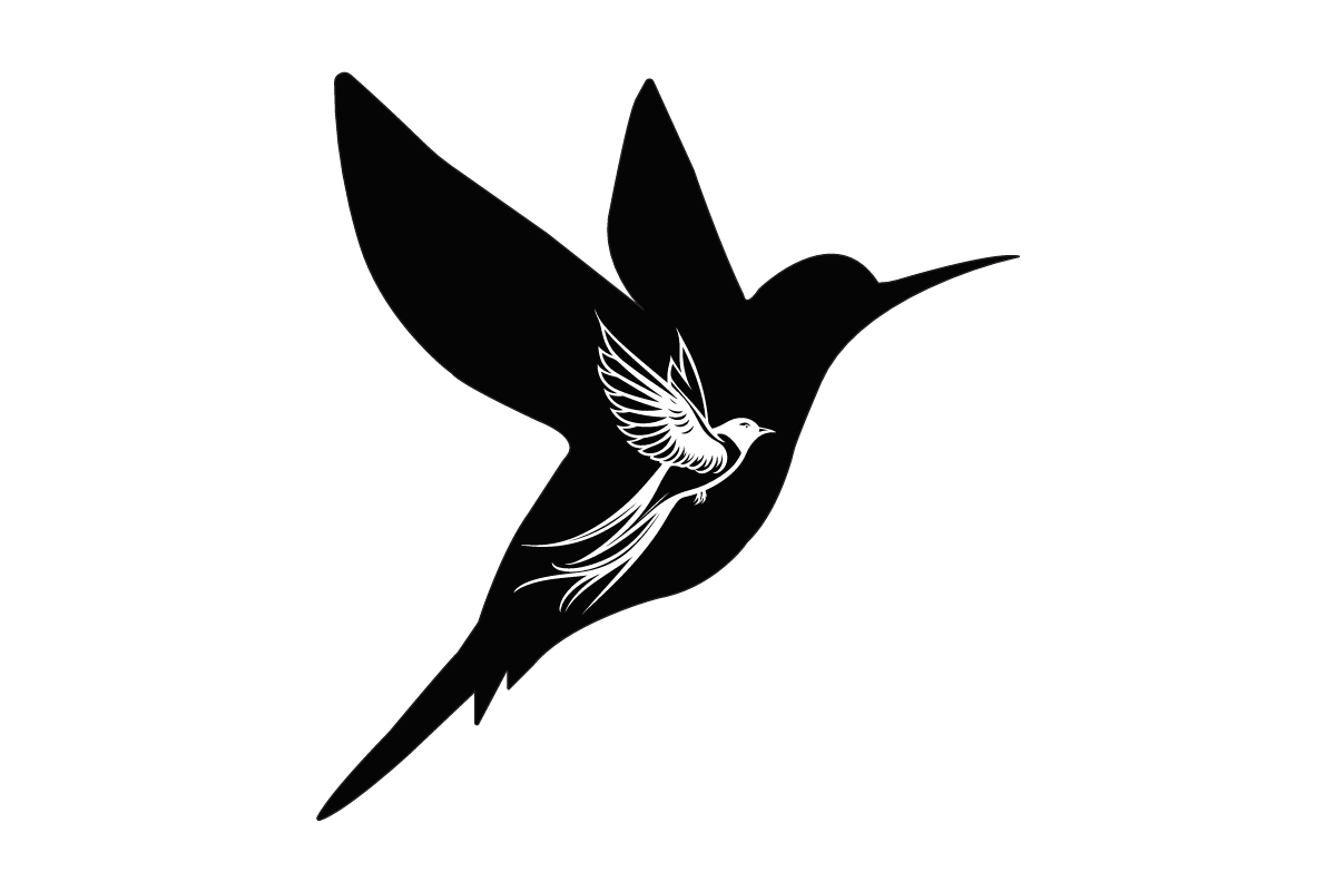 Black and White Bird Free