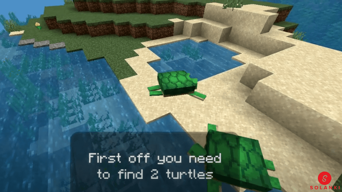 How long do turtle eggs take to hatch minecraft by Gaming By Solanki