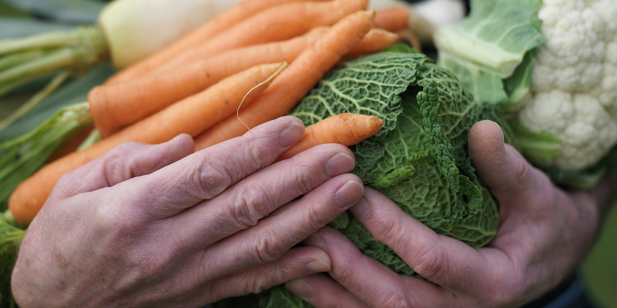 A Startup Trying to Solve the TL Food Problem — The Bold Italic — San Francisco