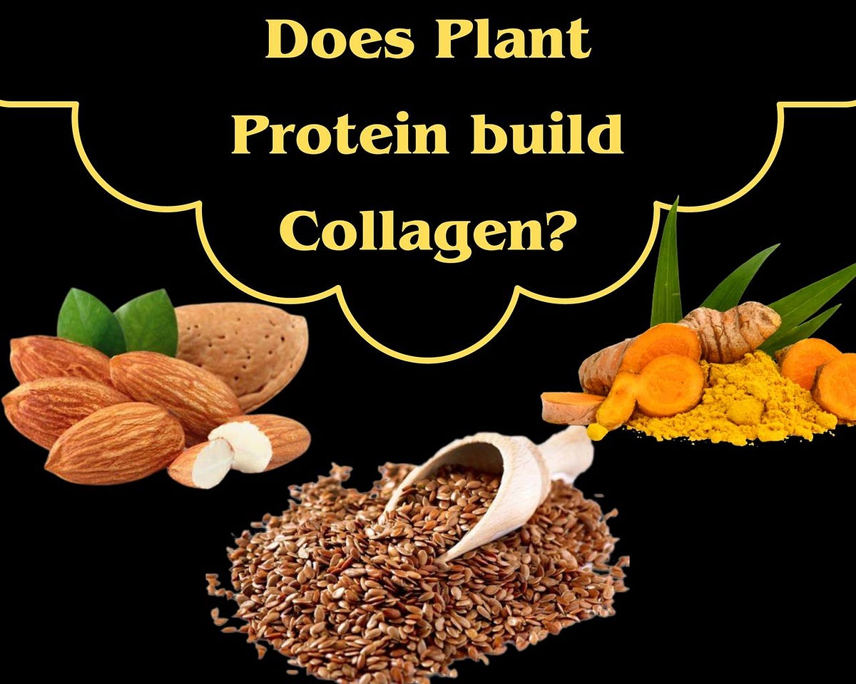 Does plant protein build collagen? by SHEERMADNESS NUTRITION Jun