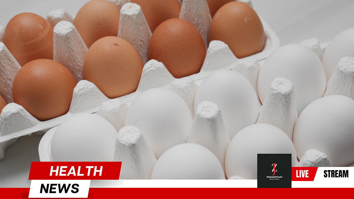 Egg , Nutrient , Nutrition , Research , Healthy diet An Entire Picture