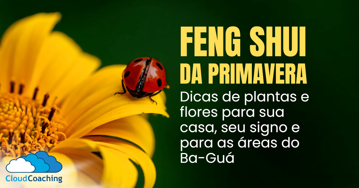 Feng Shui da Primavera: Dicas de plantas e flores para sua casa, seu signo e para as áreas do…