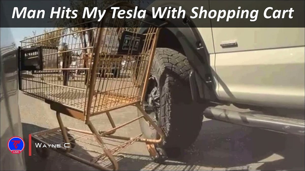 Man Hits My Tesla With Shopping Cart Caught on Tesla Sentry Mode Teslcam Live TeslaCam Live