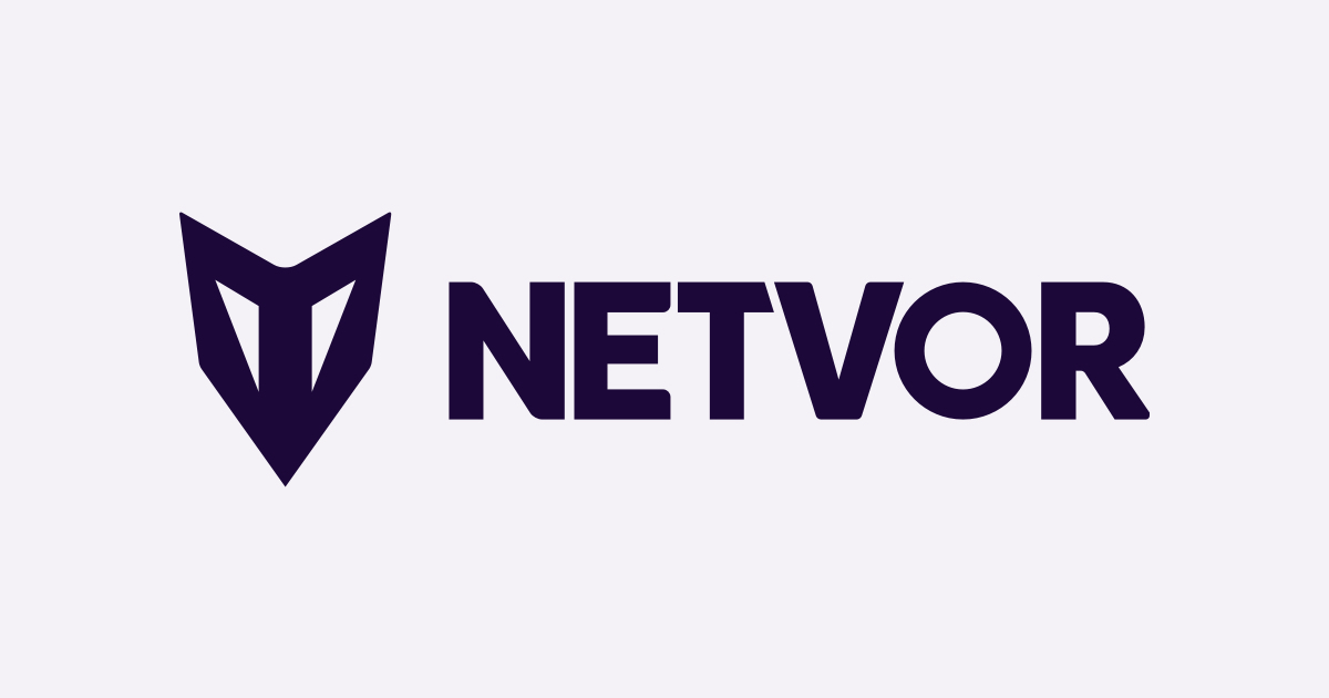 A few words about NETVOR and what do we have to offer | by Michal Vorac ...