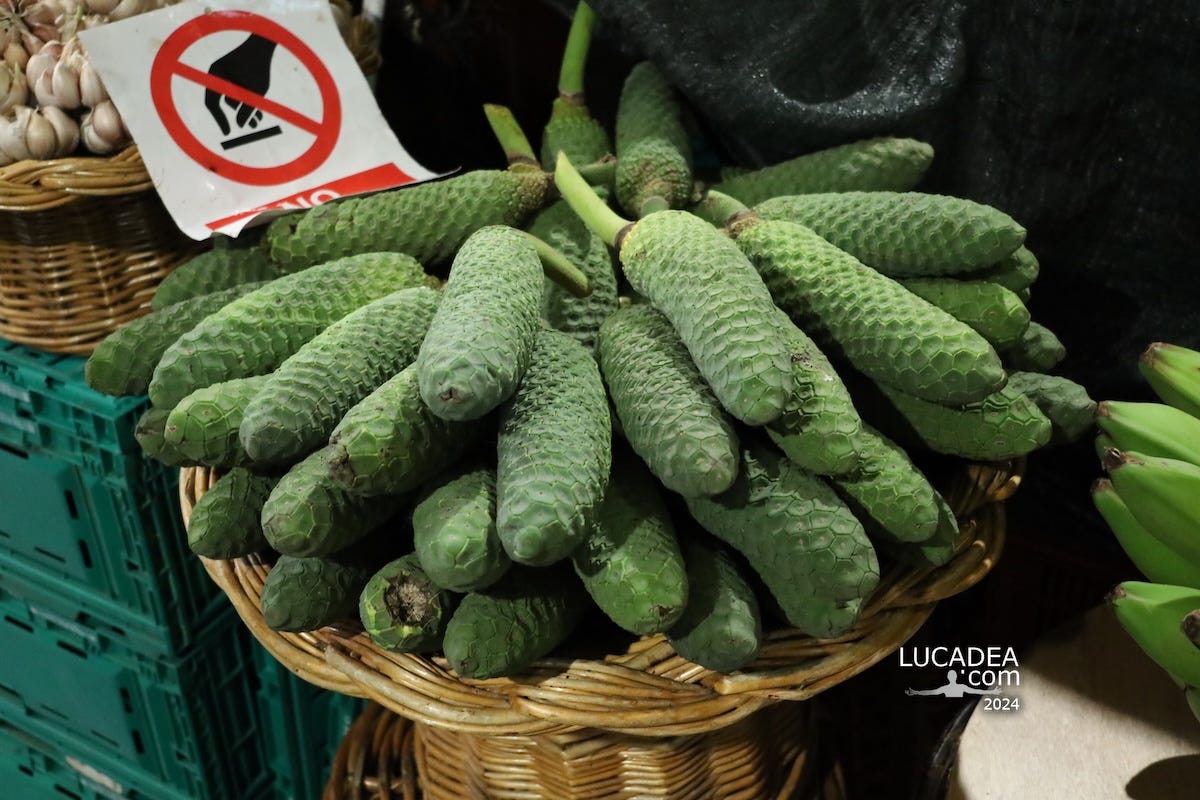 La banana-ananas, Monstera Deliciosa, a Funchal