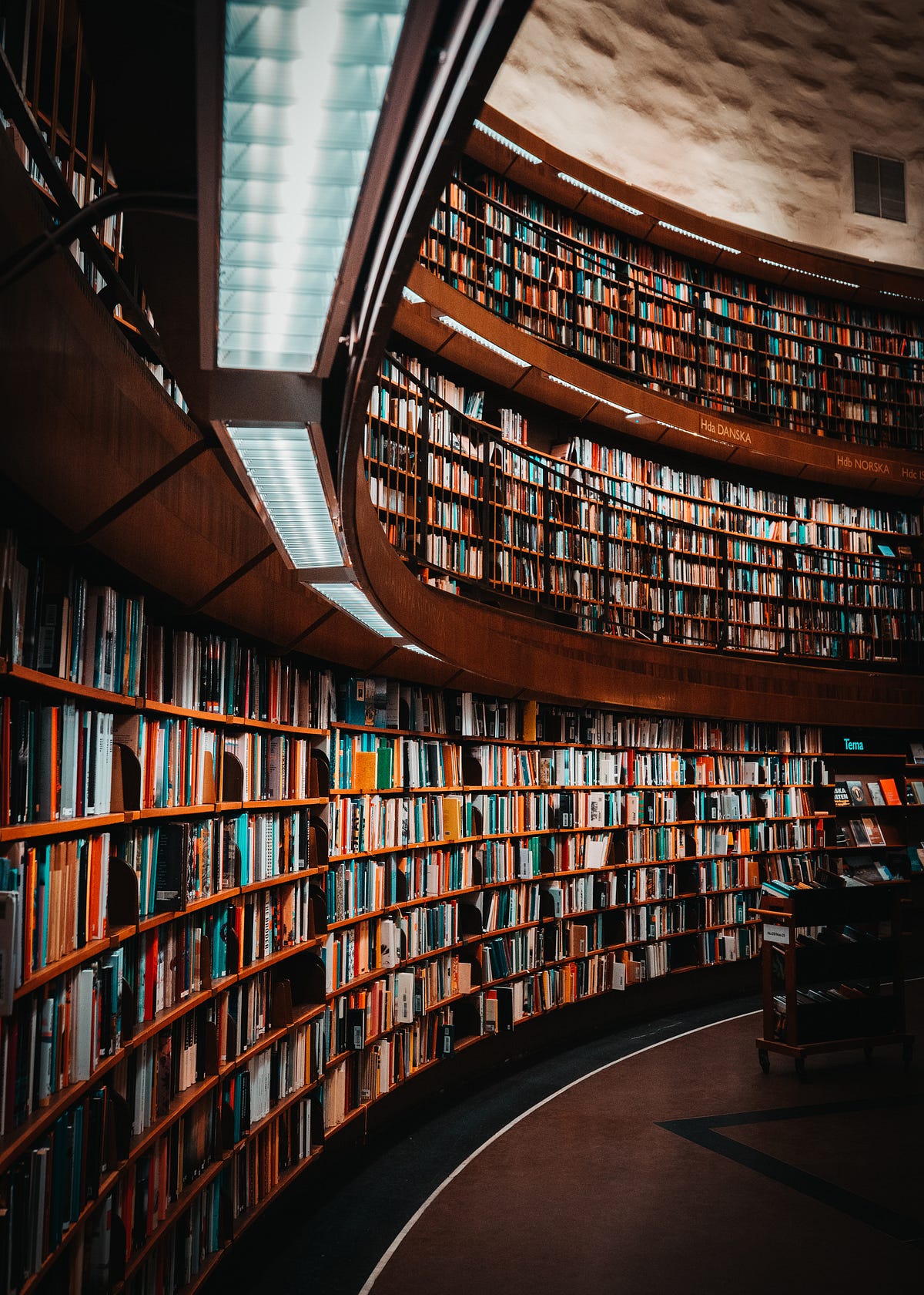 Facts About Libraries - Glory Elizabeth - Medium