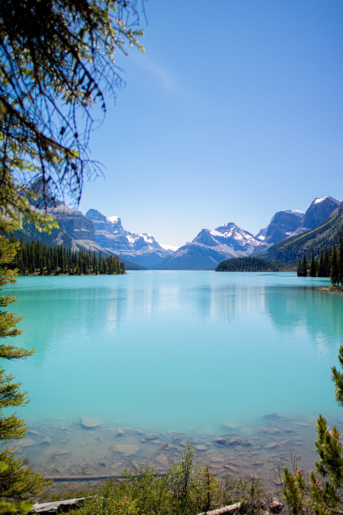 Best Things To Do In Jasper National Park by Global Compass Aug