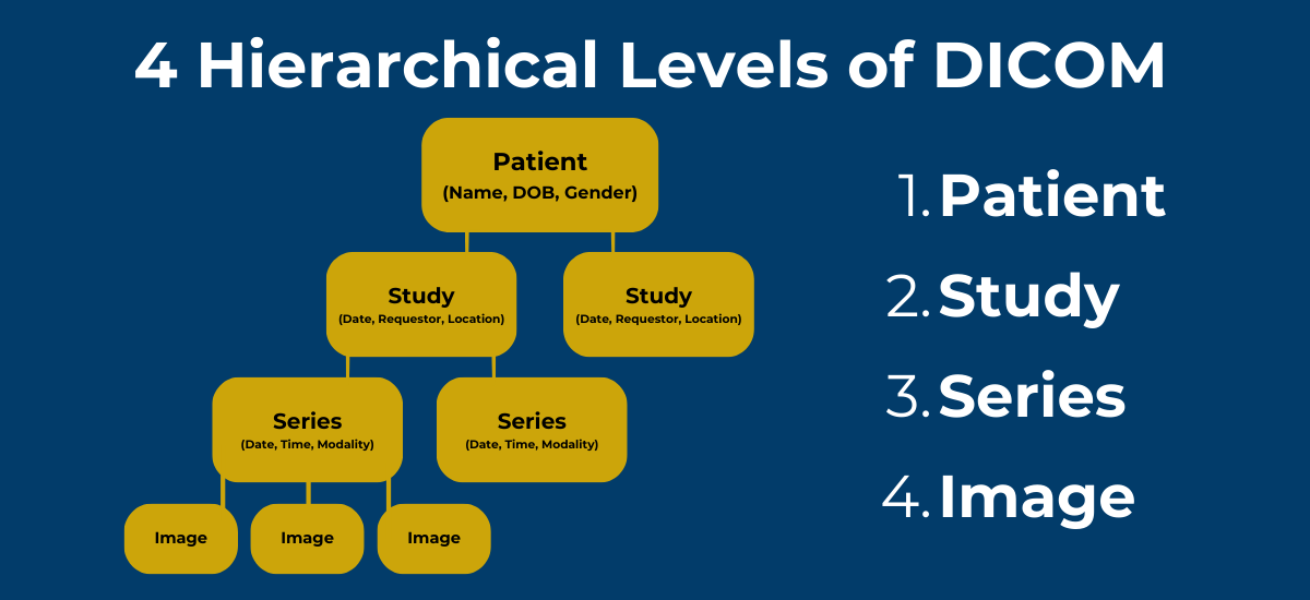 The DICOM hierarchy