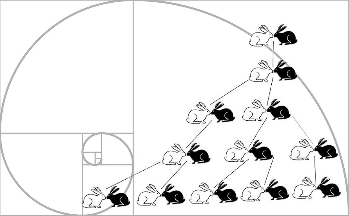 Fibonacci Series. This blog covers: | by Umlakshmitulasi | Jun, 2025 ...