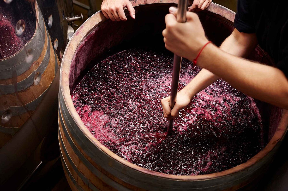The Ultimate Guide to Making Wine From Grapes to Bottles by James