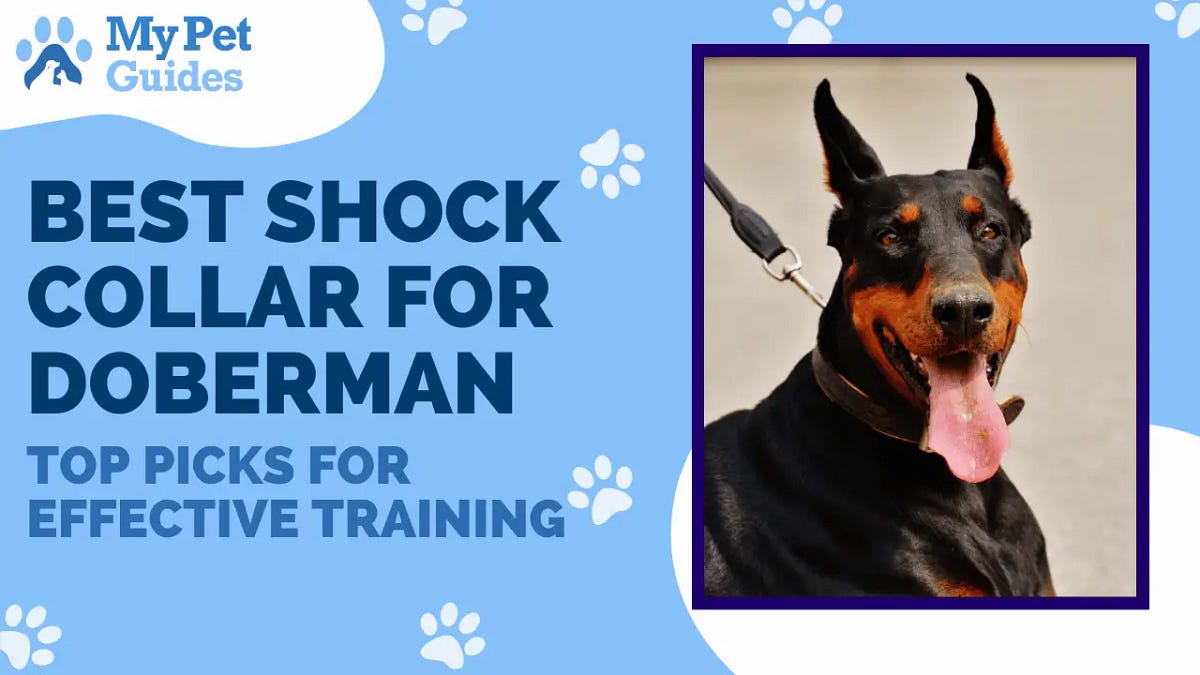 Best Shock Collar for Doberman Top Picks for Effective Training by Pets Guide Medium