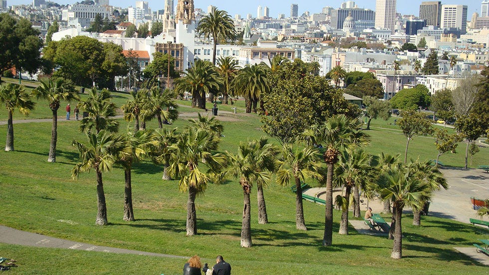 Image of: This Incident Proves Dolores Park is Serious About Enforcing Rules — The Bold Italic — San Francisco