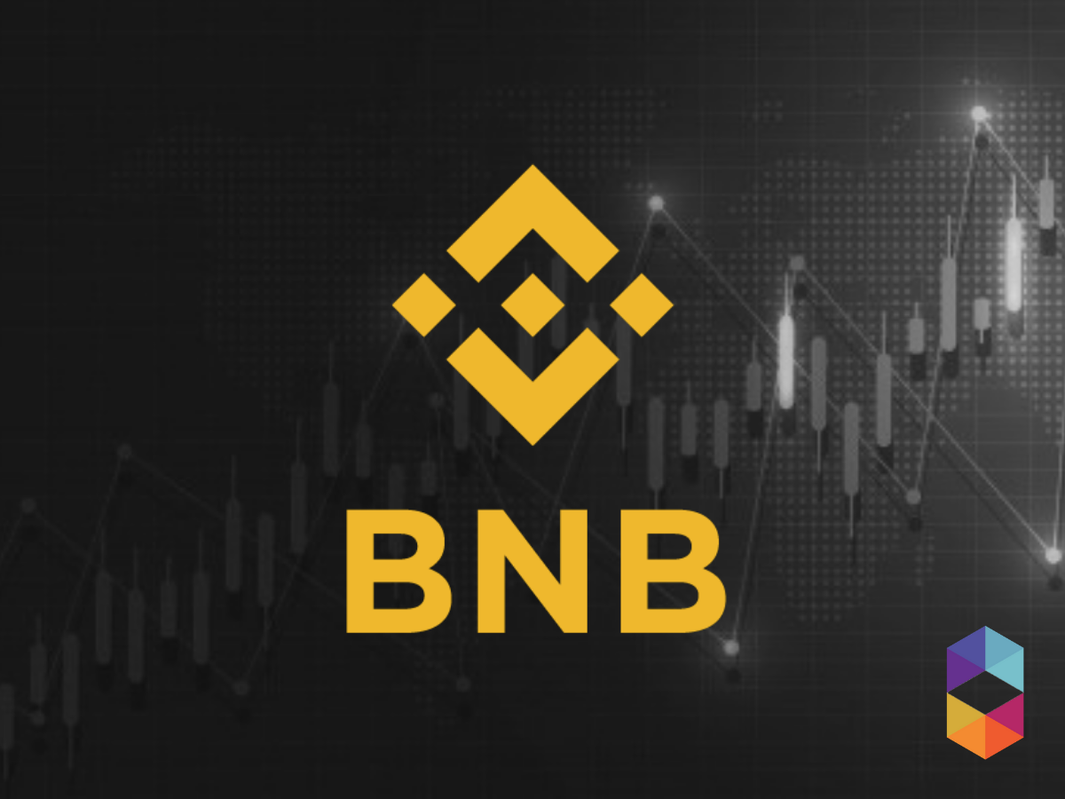 Thumbnail of Binance: A Case Study of BNB’s Success