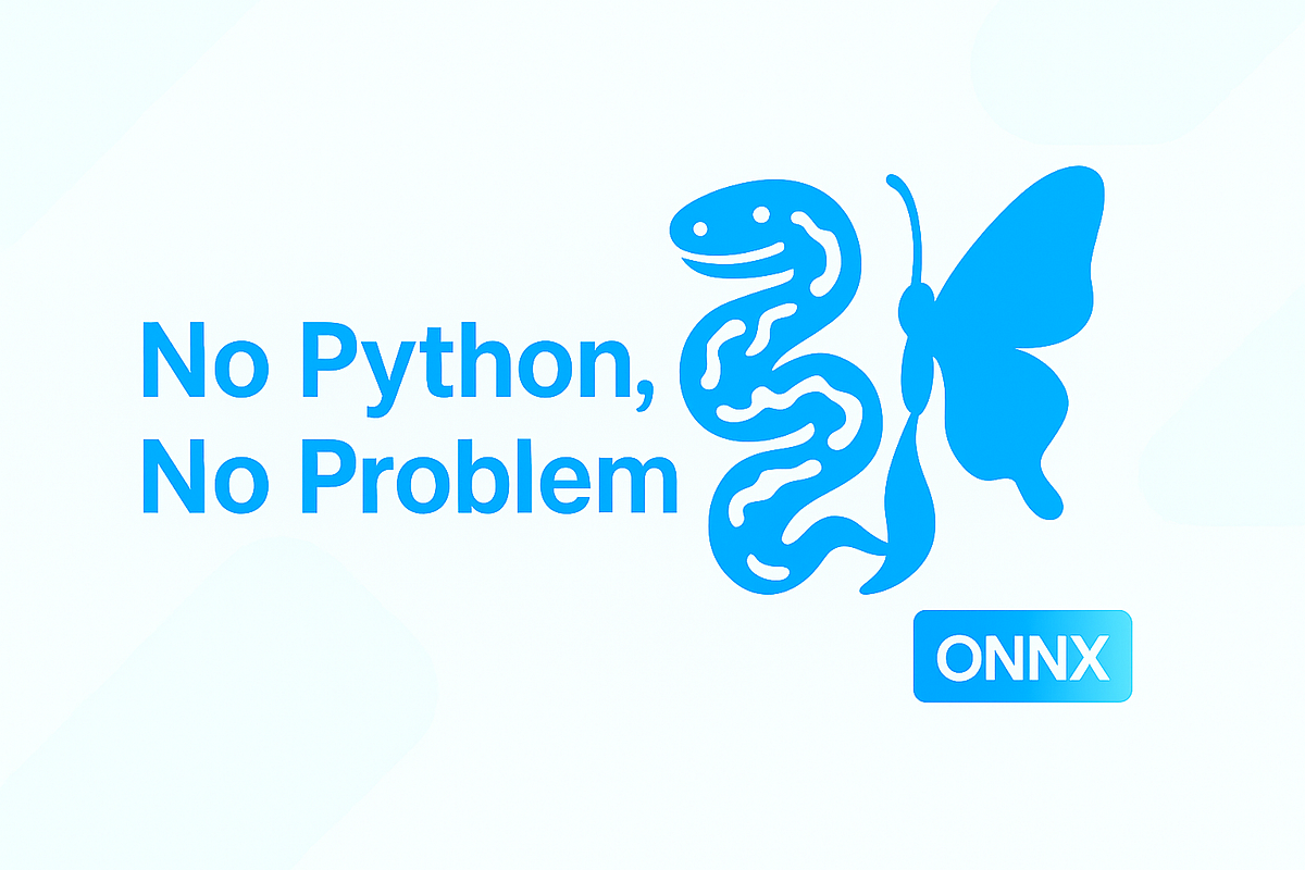 No Python, No Problem: Model Inference with ONNX in Java, or Any Other ...