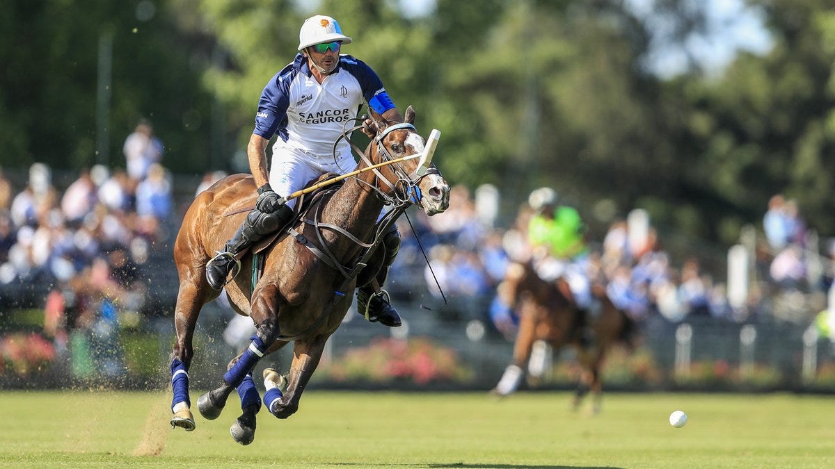 Mejores Jugadores de Polo | by Horses Polo Argentino | Medium