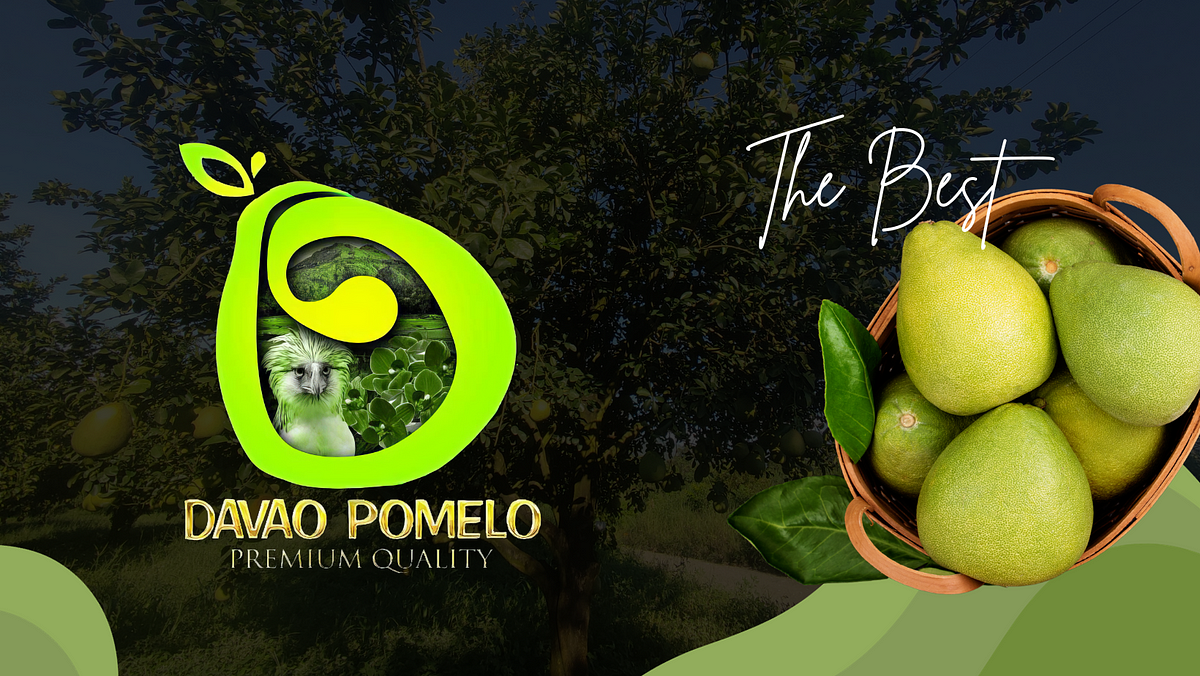 Davao Pomelo Your Ultimate Guide to the Best Brand by