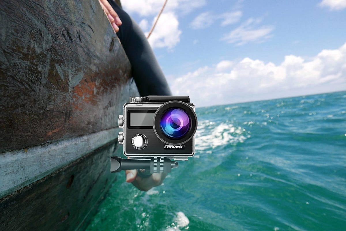 Cellular Deer Camera Technology A Revolutionary Tool for Wildlife