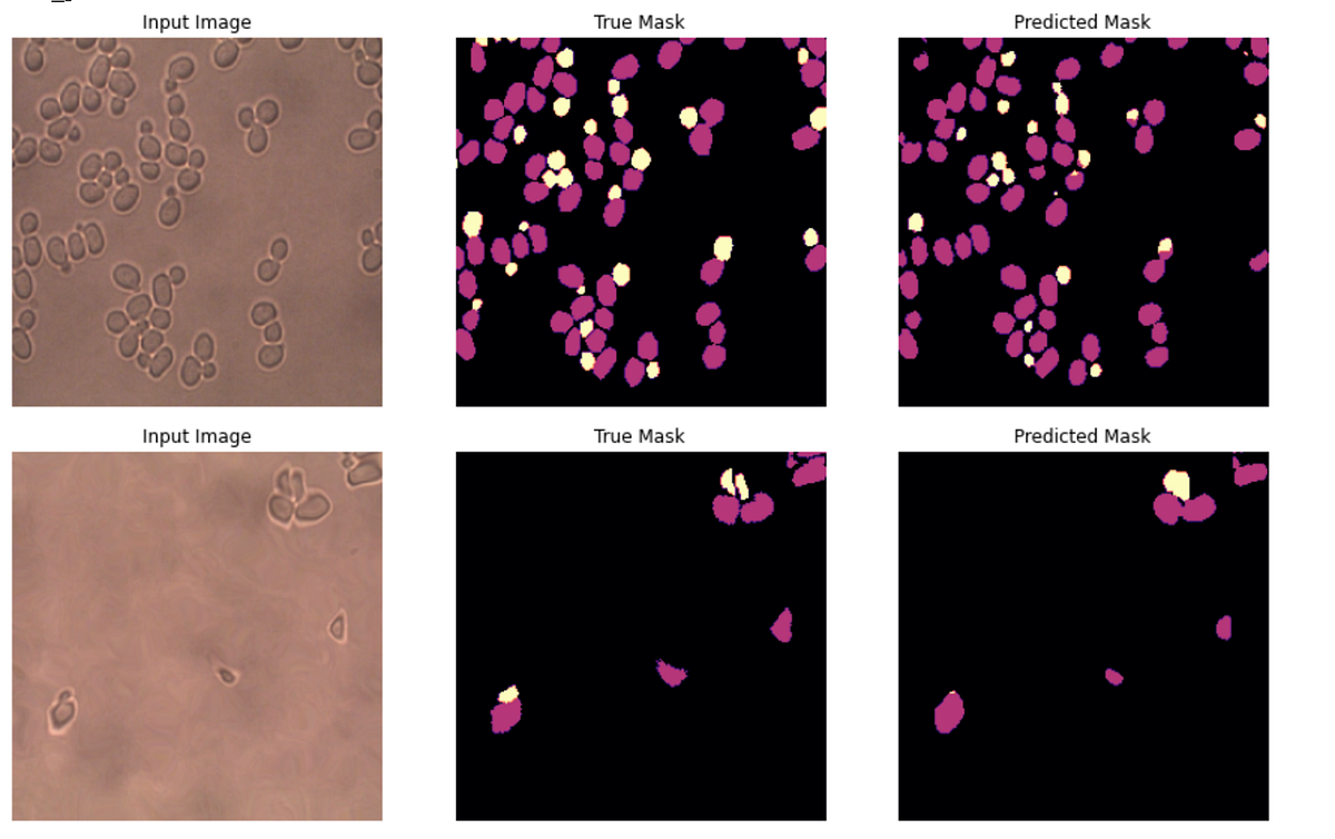 How we built an easy-to-use image segmentation tool with transfer ...