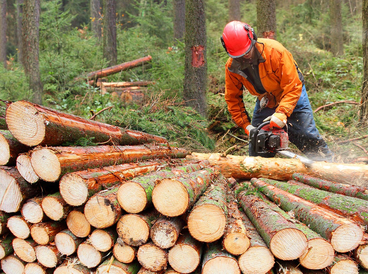 Writing some actually decent logs | by Chris Cooney | HackerNoon.com ...