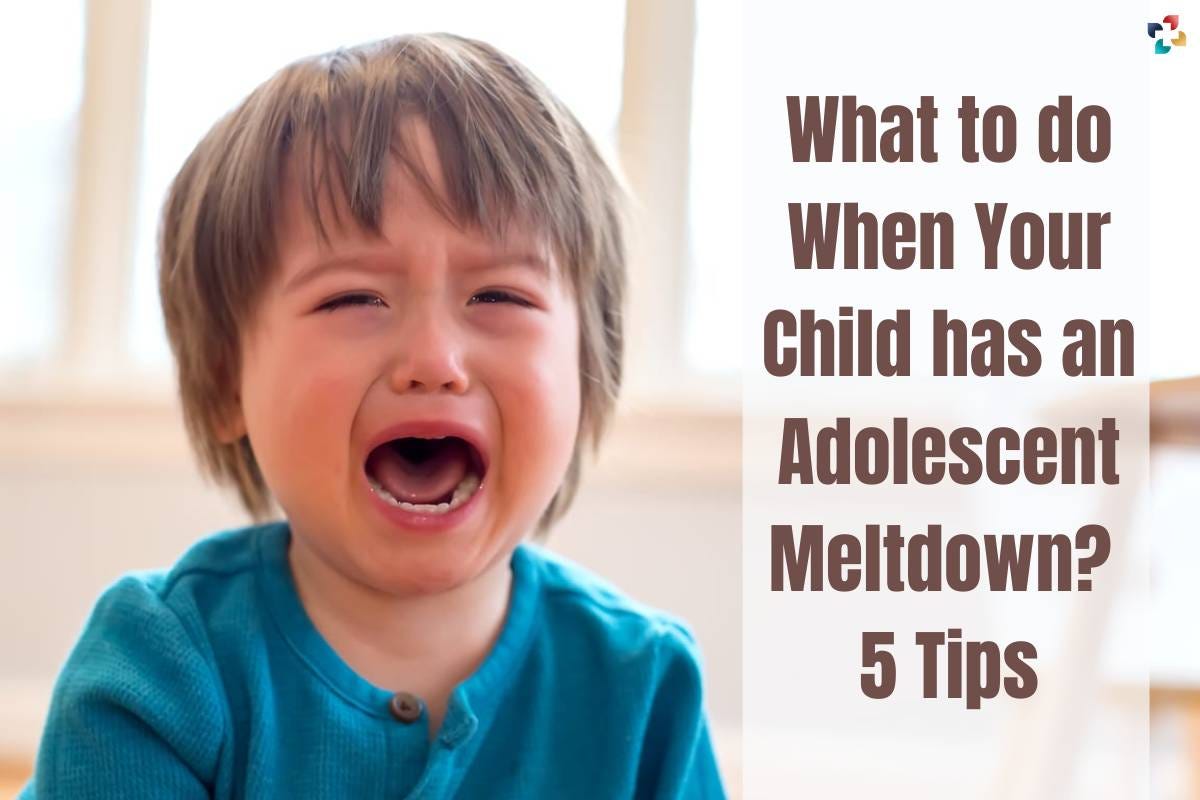 What to do When Your Child has an Adolescent Meltdown? 5 Tips by