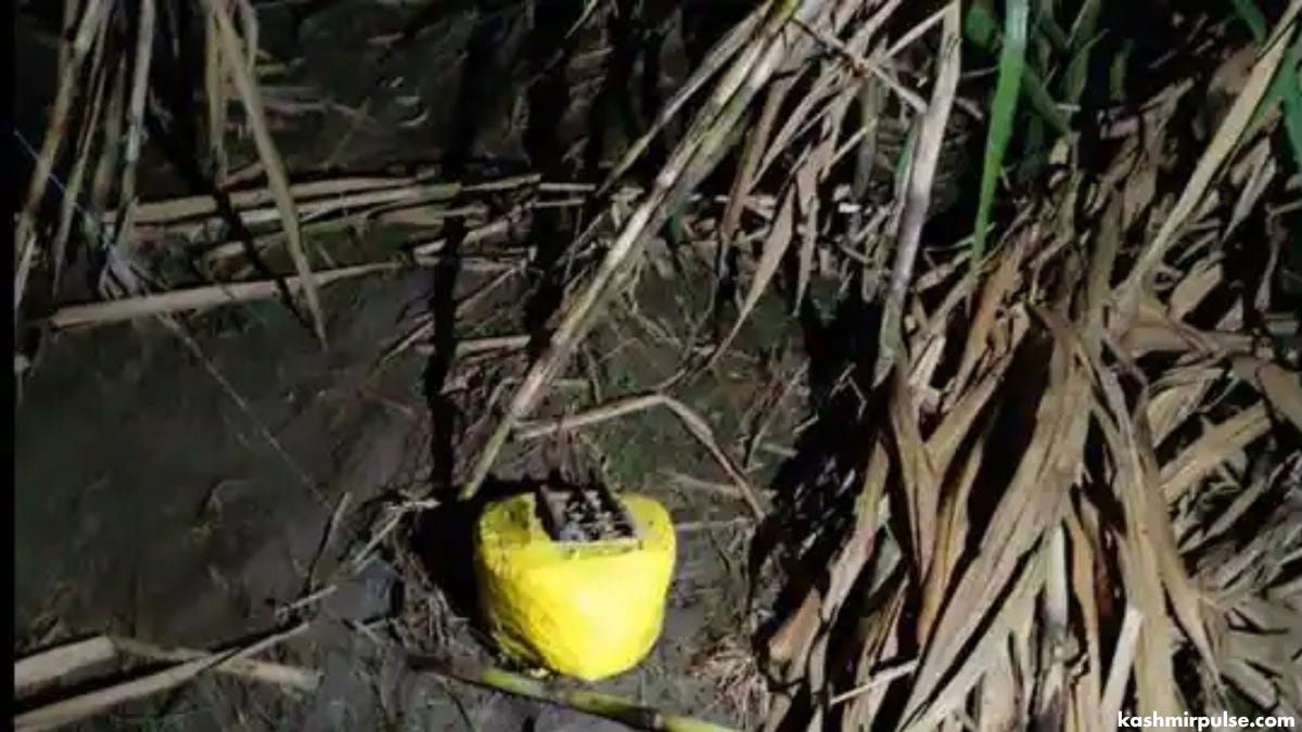 Border Security Forces recover IED in Kathua
