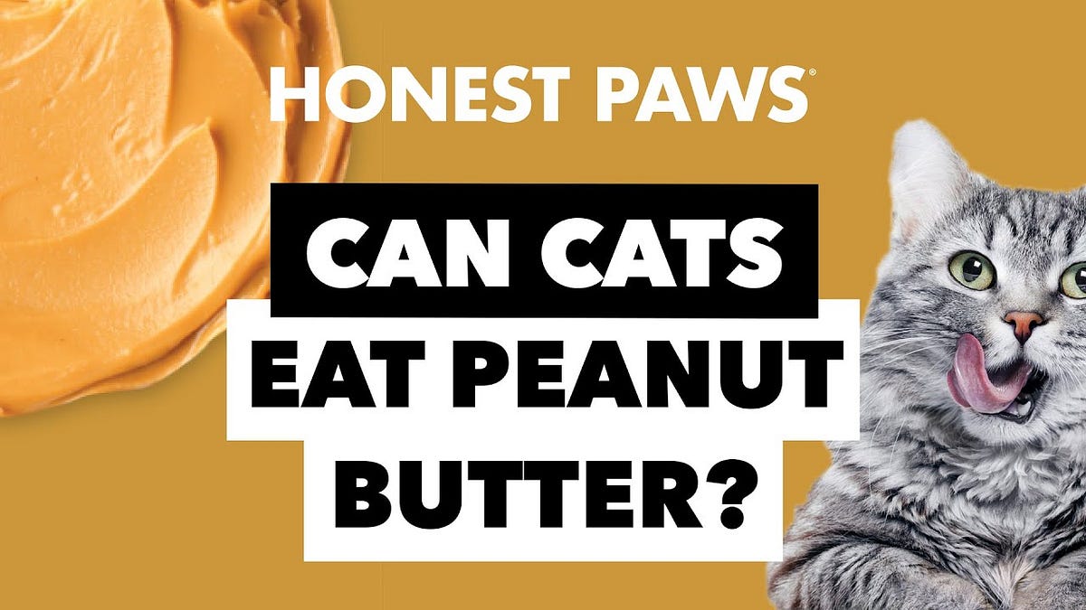 Cats allergic 2025 to peanut butter