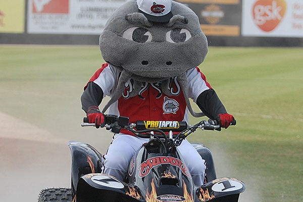 Ranking the Carolina League Mascots